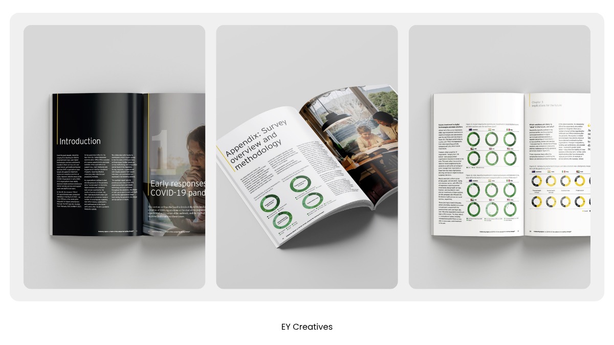 EY USA, UK & Australia, portfolio frame 3
